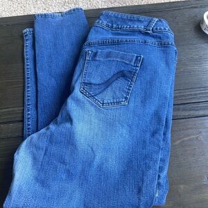 Lane Bryant Indigo Genius  Jeggings